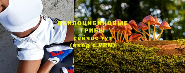 стаф Заволжск