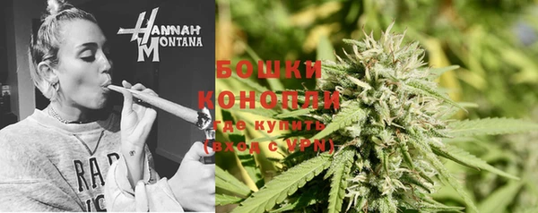 мескалин Заводоуковск