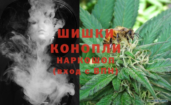 стаф Заволжск